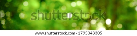 Panorama view of green leaf on blurred greenery background in garden with copy space, natural bokeh with daylight, concept, relaxing color and fresh atmosphere, photo for background or banner Royalty-Free Stock Photo #1795043305
