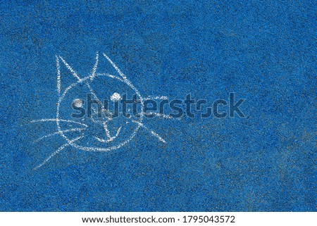 A white chalk face a mustachioed cat
