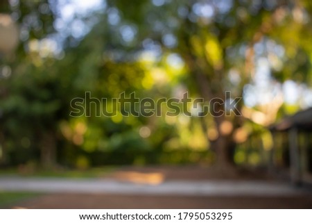Blurred trees and blurred walkway with a sunshine, abstract photo, horizontal photo