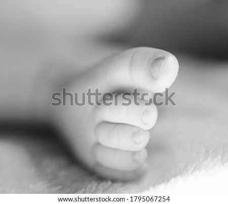 Close up picture of new born baby feet 