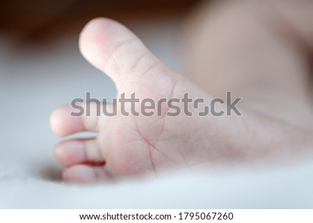 Close up picture of new born baby feet 