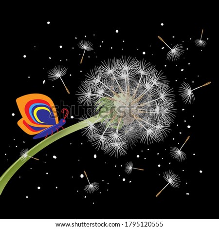 Trendy backdrop with dandelion blowing seeds, colorful butterfly on black background. Vector nature theme banner, poster, invitation card with butterfly on dandelion flower and flying seeds.