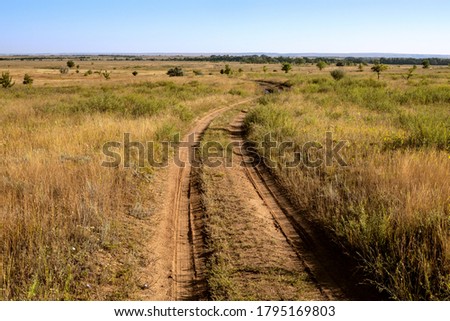 summer steppe landscape, the road is warming through the fields, country road without signs
