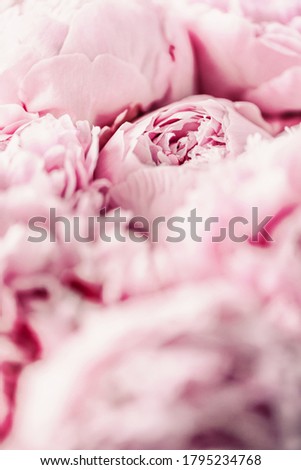 Wedding, birthday, anniversary bouquet. Pink peony flower on pastel background. Copy space. Trendy pastel floral composition. Woman day, Mother's day. Macro of peonies flowers.