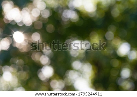 Green leaf bokeh pattern background for design. Abstract blur green color for background,blurred and defocused effect spring concept.
