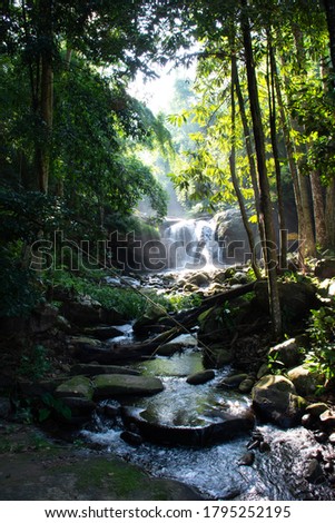 Picture of Phusoidao waterfall in ther deep forest under morning raylight: Phu Soi Dao National Park, Uttaradit, Thailand