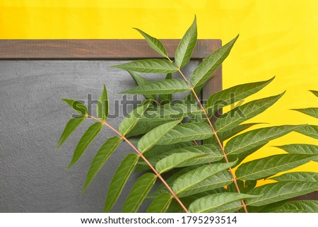 chalk board with green leaves on yellow background