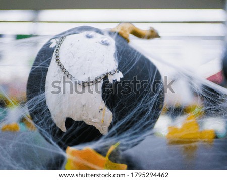 white ghost with a spider web on a pumpkin