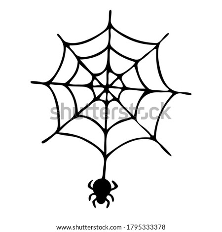 Spider web with spider isolated on white background. Hand drawing. Vector.