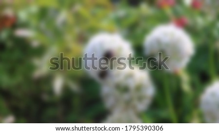 Blurred abstract photo of a bumblebee on a flower