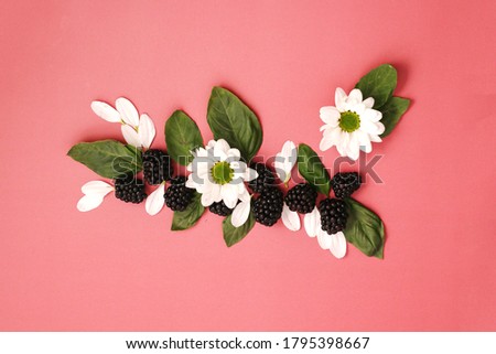 blackberries with flowers and basil leaves on bright pink background. Concept summer fresh berries time, styling, decor, flatlay