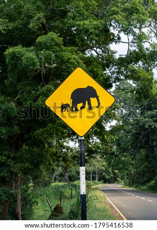 Elephants warning yellow road sign and jungle on background in Sri Lanka