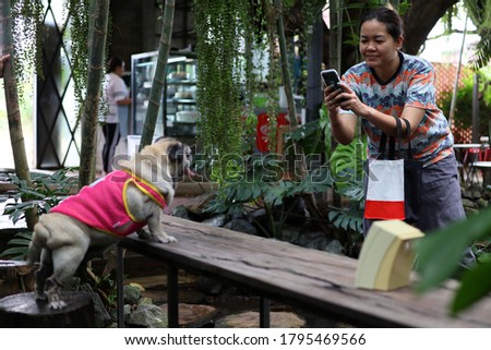 Portrait of a woman using a mobile phone to take pictures of a cute fat dog standing on a wooden table.