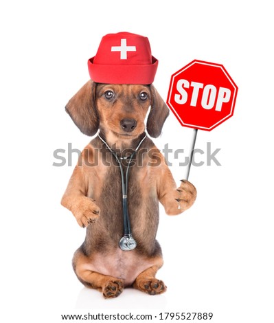 Puppy wearing like a doctor with  stethoscope and doctor's hat shows stop sign. Isolated on white background
