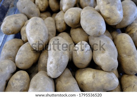 A close up of a pile of potatoes.