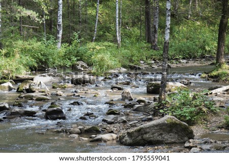 The taiga stony river flows in the autumn forest.