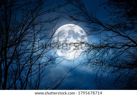 A spooky bare branch halloween trees against a winter blue night sky with a glowing full moon and clouds