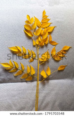 Branch with yellow leaves on the grey background.
