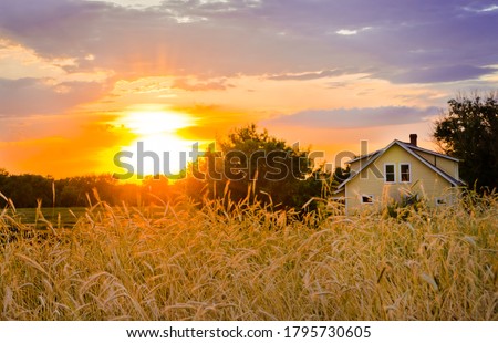 Sunset on the Homestead with wheat field waving Royalty-Free Stock Photo #1795730605