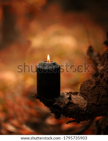 magic black candle in mystery autumn forest, abstract natural background. fairy scene. witchcraft ritual. Fall season. Mabon, Samhain sabbat, Halloween holiday concept Royalty-Free Stock Photo #1795735903