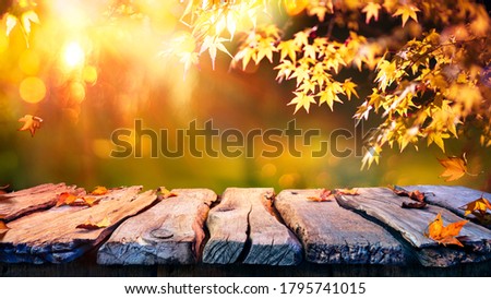 Wooden Table With Red And Yellow Leaves At Sunset - Autumn Background

