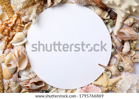 Different beautiful sea shells and blank card, flat lay. Space for text