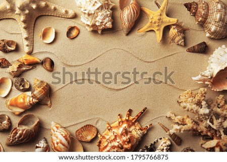 Frame made with different sea shells on sand, flat lay. Space for text