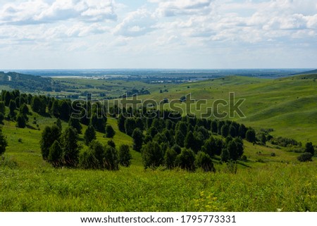 green meadow with young trees