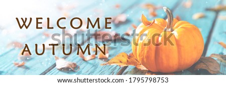Mini Pumpkin And Leaves On Blue Wooden Table With "Welcome Autumn" Message