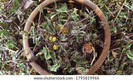 healthy healing herbs and wild flowers for tea, herbal medicine, phytotherapy medicinal herbs, good for preparation of tea, infusions, decoctions, powders, ointments and tinctures, selective focus
