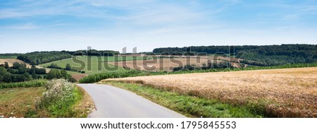 cornfields and meadows under blue sky in french pas de calais near boulogne Royalty-Free Stock Photo #1795845553