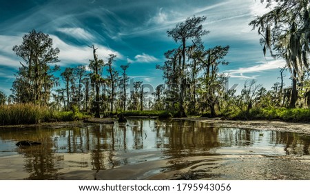 Louisiana swamp lands near New Orleans Royalty-Free Stock Photo #1795943056