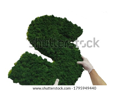 moss letters for office signage