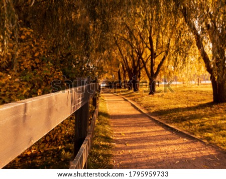 Autumn landscape with evening sunbeams, shadows from trees on the path and an old wooden fence. Blurred background, focused foreground.