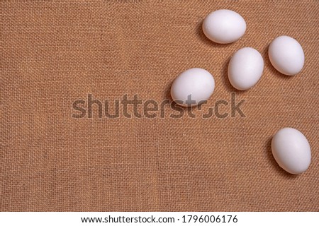 A group of five white chicken eggs on burlap.Copy space.