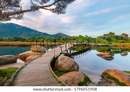 Footbridge at Tidal River, Wilsons Promontory with surrounding trees and rocks at sunrise Royalty-Free Stock Photo #1796051908