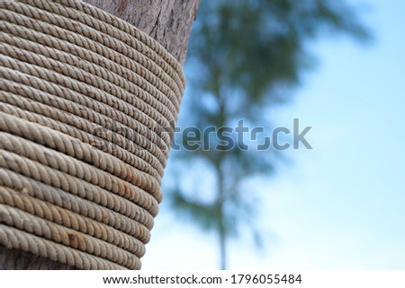 Rope tied up tree and abstract blurred photo of beach background, defocused of sea background, relaxing color and atmosphere, photo for graphic design, website or travel banner