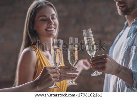 Glasses of champaign. Joyful people drinking alcohol at the party