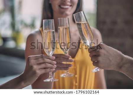Alcohol drinks. Three people toasting their glasses filled with alcohol