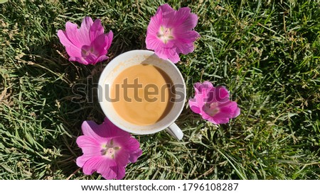 Fresh Tea With Flowers And Green Background