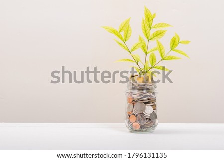 Many Money coin in jar or glass bottle, tree leaf inside in stack conin. Business Finance and Money concept.