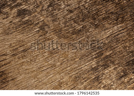 Texture of old wood close up
