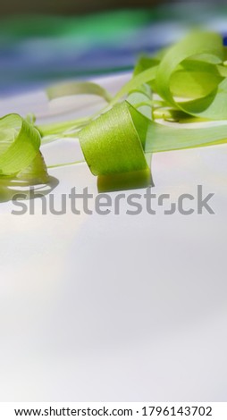 Abstract stock image of a green colour ribbon with white background.