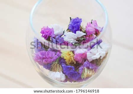 Photo of colorful dried flowers