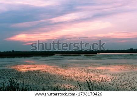 Sunset in pleasant and relaxing colors and in a quiet atmosphere in Delta Neajlovului, Romania. Reed, rush and delta vegetation in the vast expanse of water