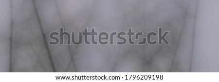 Grey Abstract background, smooth concrete wall texture can be used as a background. Smooth wall texture                               