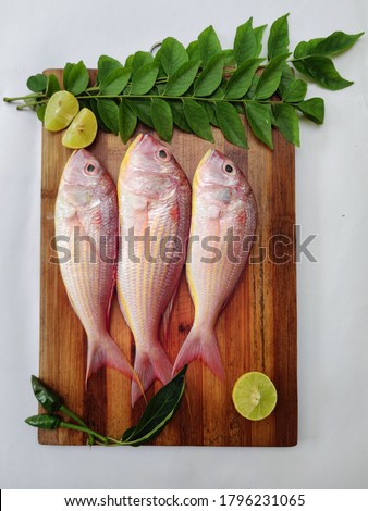 Top view of fresh and ready to cook raw pink Perch fis with ingredients like lemon,curry leaves,chilli isolated in white background,selective focus.