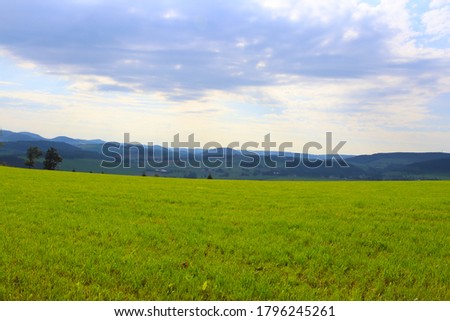 A bright green landscape view in the early morning