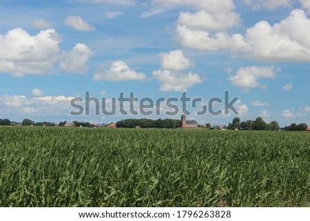 Nice view over the Dutch landscape with corn fields and in the distance a typical old church with a church tower. Photo was taken on a sunny day in July.