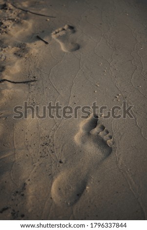 footprint on the beach sands